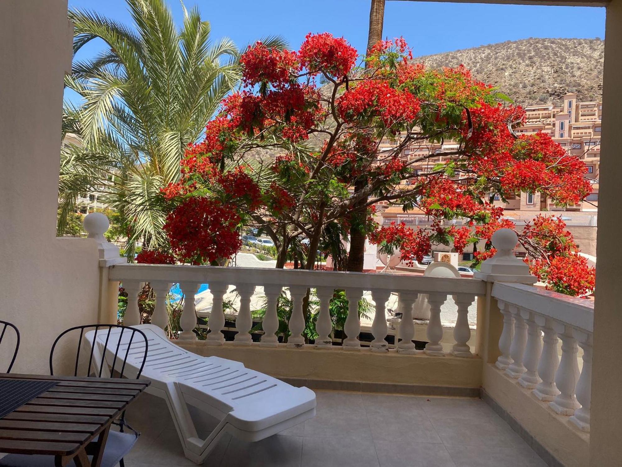 Castle Harbour Samuel'S Studio Flat By Lovetenerife Los Cristianos  Exterior photo